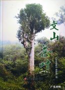 文山风水 文山风水大师有哪些