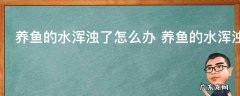 养鱼的水浑浊了怎么办 养鱼的水浑浊了怎么解决