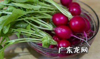 红萝卜种植时间和方法 红萝卜种植时间和方法有哪些