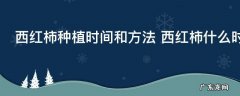 西红柿种植时间和方法 西红柿什么时候种植