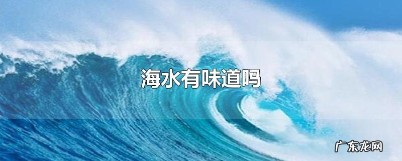 海水有味道吗