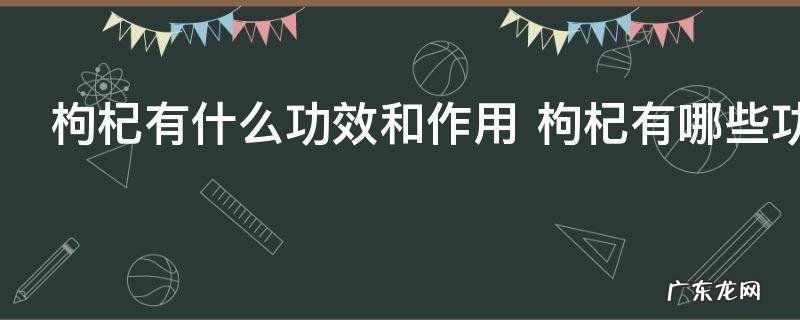 枸杞有什么功效和作用 枸杞有哪些功效和作用