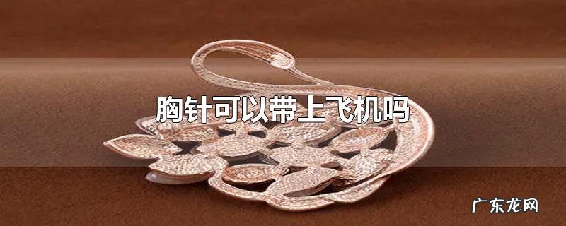 胸针可以带上飞机吗