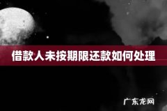 借款人未按期限还款如何处理
