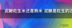 泥鳅吃生米还是熟米 泥鳅是吃生的还是熟的米