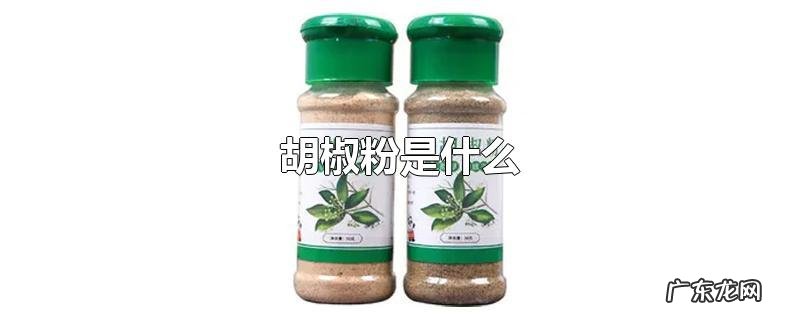 胡椒粉是什么