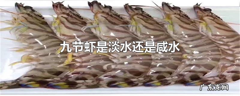 九节虾是淡水还是咸水