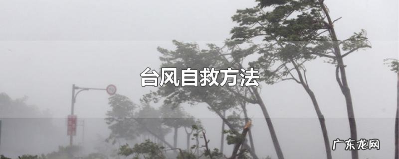 台风自救方法