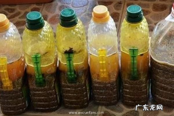 油菜饼加水泡多久才可以施肥