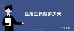 豆角生长期多少天