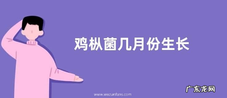 鸡枞菌几月份生长