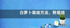 白萝卜栽培方法，附栽培管理技术