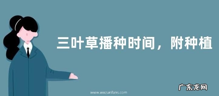 三叶草播种时间，附种植方法