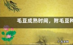 毛豆成熟时间，附毛豆种植方法