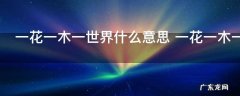 一花一木一世界什么意思 一花一木一世界指什么