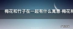 梅花和竹子在一起有什么寓意 梅花和竹子在一起的寓意