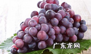 葡萄坏了做葡萄酒还能用吗 葡萄坏了能不能做葡萄酒