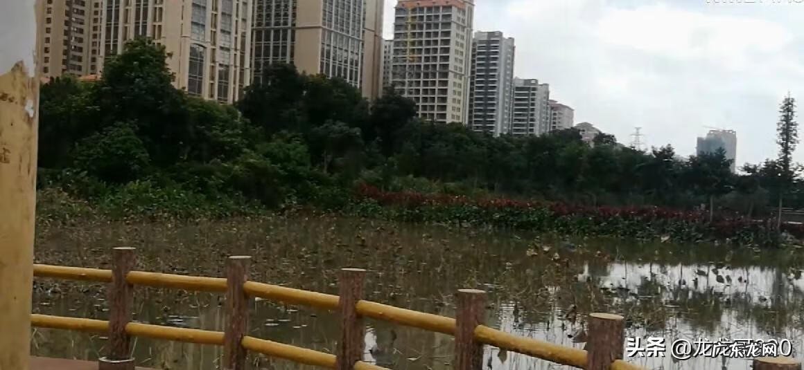 湛江风水宝地 湛江最出名的风水宝地是