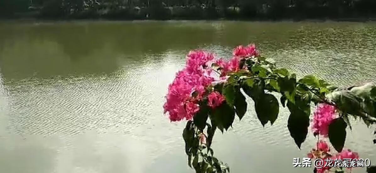 湛江风水宝地 湛江最出名的风水宝地是