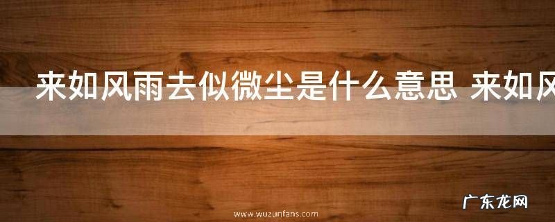 来如风雨去似微尘是什么意思 来如风雨去似微尘的意思