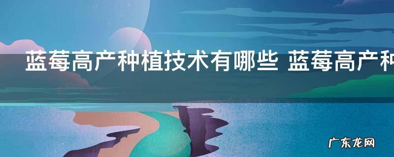 蓝莓高产种植技术有哪些 蓝莓高产种植技术介绍