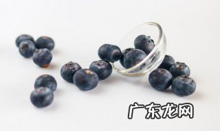 蓝莓高产种植技术有哪些 蓝莓高产种植技术介绍