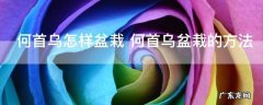 何首乌怎样盆栽 何首乌盆栽的方法