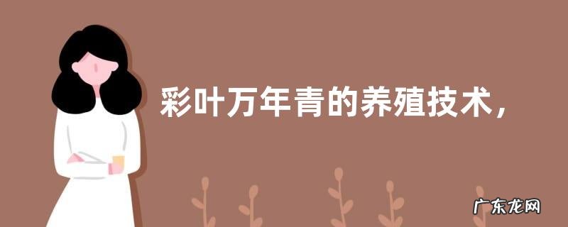 彩叶万年青的养殖技术,需注意以下五个方面