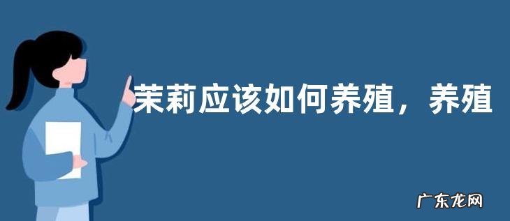 茉莉应该如何养殖,养殖时需要注意什么
