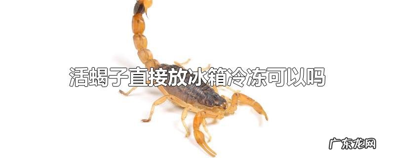活蝎子直接放冰箱冷冻可以吗