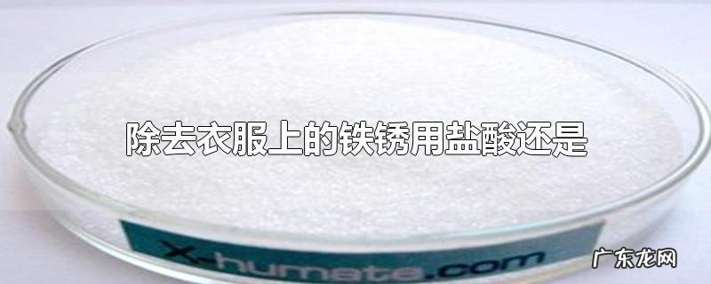 除去衣服上的铁锈用盐酸还是草酸