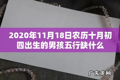 2020年11月18日农历十月初四出生的男孩五行缺什么