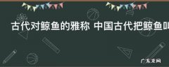 古代对鲸鱼的雅称 中国古代把鲸鱼叫做什么