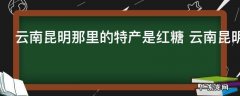云南昆明那里的特产是红糖 云南昆明哪个地方特产红糖