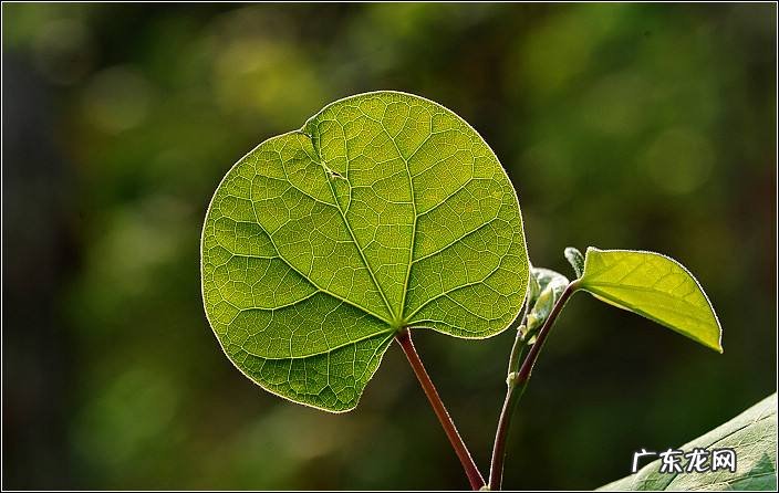 自己在家练字最快最好的方法 风水学女人在家练字好吗