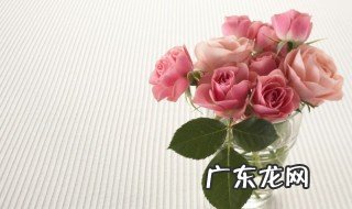 盆栽玫瑰花需要注意哪些事项 养殖盆栽玫瑰花注意事项