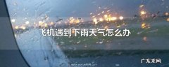 飞机遇到下雨天气怎么办