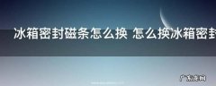 冰箱密封磁条怎么换 怎么换冰箱密封磁条