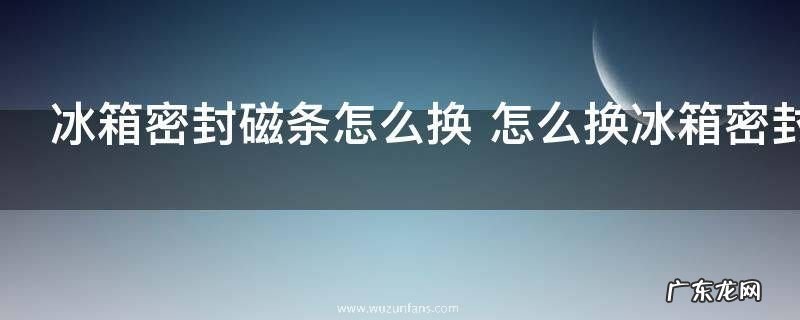 冰箱密封磁条怎么换 怎么换冰箱密封磁条