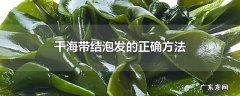 干海带结泡发的正确方法