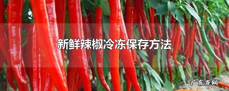 新鲜辣椒冷冻保存方法
