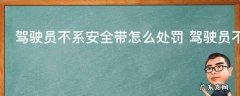 驾驶员不系安全带怎么处罚 驾驶员不系安全带的处罚方法