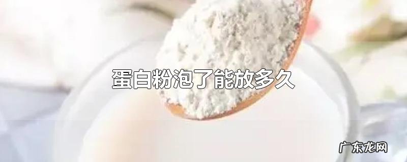 蛋白粉泡了能放多久