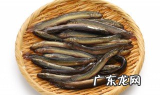 泥鳅豆腐汤的做法 泥鳅豆腐汤怎么做