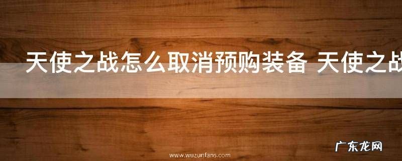 天使之战怎么取消预购装备 天使之战如何取消预购装备