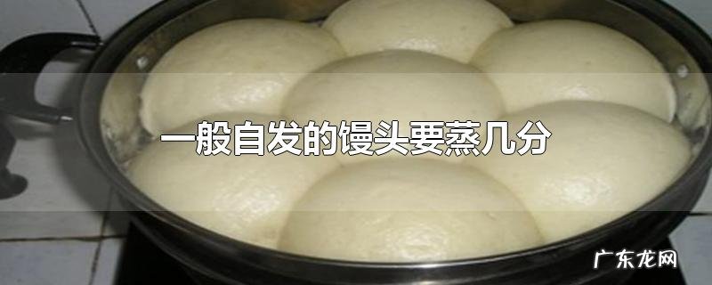 一般自发的馒头要蒸几分