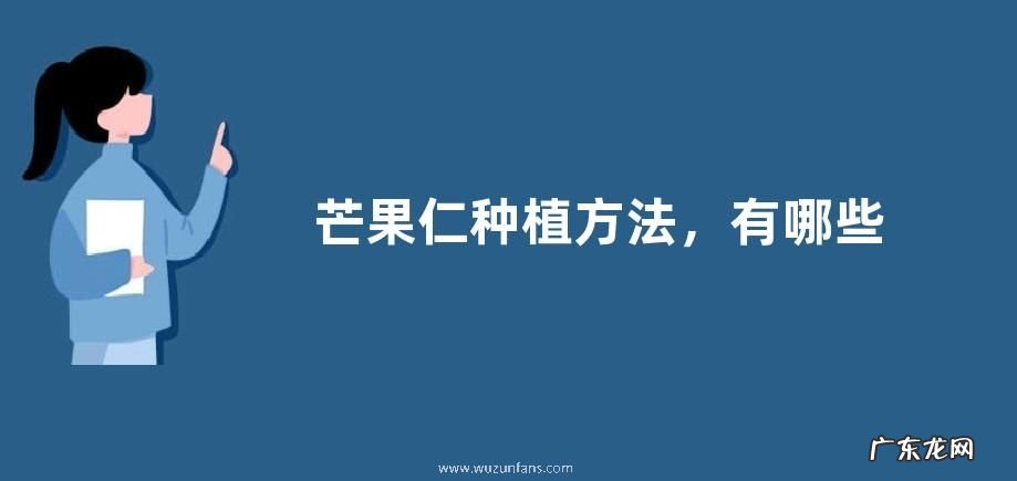 芒果仁种植方法,有哪些种植注意事项