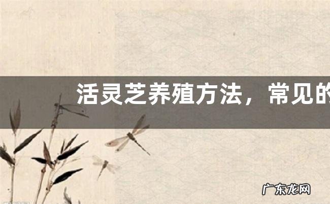 活灵芝养殖方法，常见的灵芝品种