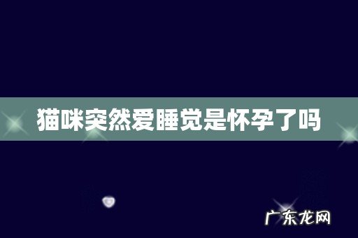 猫咪突然爱睡觉是怀孕了吗