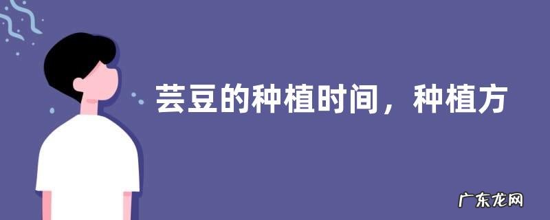 芸豆的种植时间,种植方法是什么